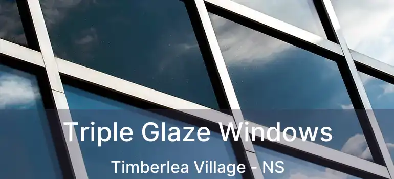  Triple Glaze Windows Timberlea Village - NS