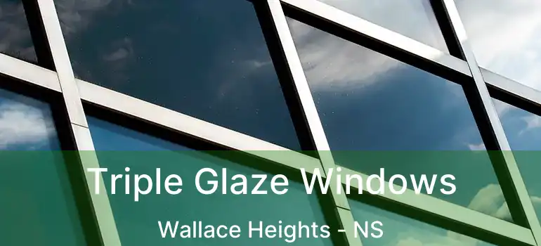  Triple Glaze Windows Wallace Heights - NS