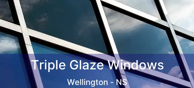  Triple Glaze Windows Wellington - NS