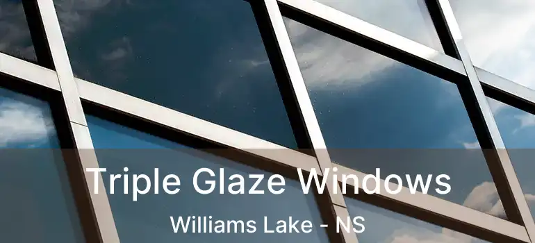  Triple Glaze Windows Williams Lake - NS