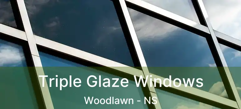  Triple Glaze Windows Woodlawn - NS