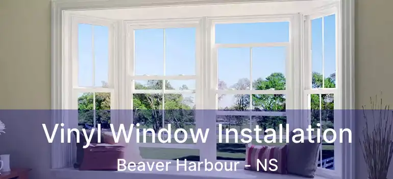  Vinyl Window Installation Beaver Harbour - NS