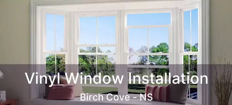  Vinyl Window Installation Birch Cove - NS