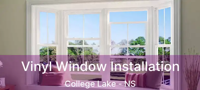  Vinyl Window Installation College Lake - NS