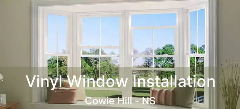  Vinyl Window Installation Cowie Hill - NS