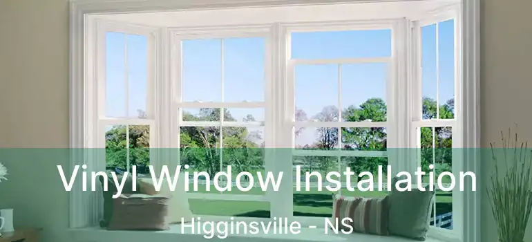  Vinyl Window Installation Higginsville - NS