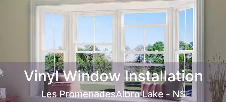  Vinyl Window Installation Les PromenadesAlbro Lake - NS