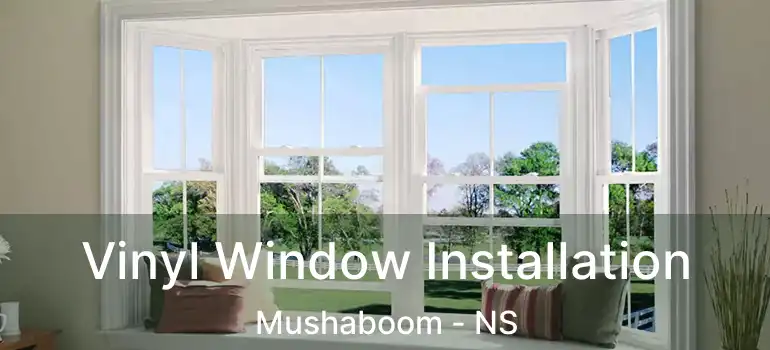  Vinyl Window Installation Mushaboom - NS