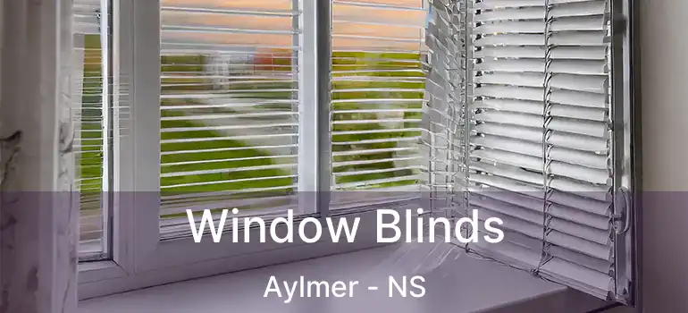  Window Blinds Aylmer - NS