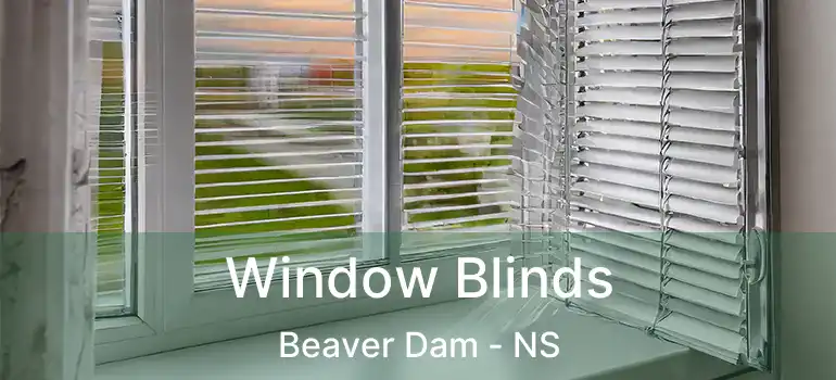  Window Blinds Beaver Dam - NS