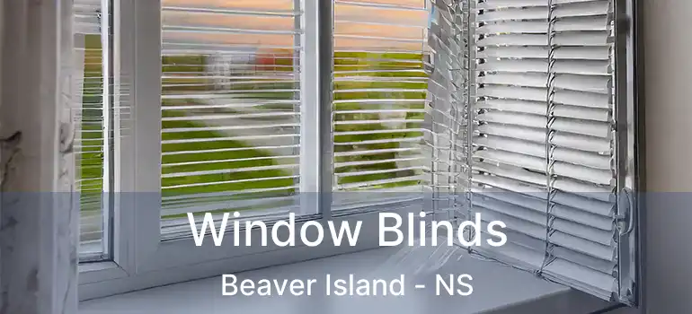  Window Blinds Beaver Island - NS