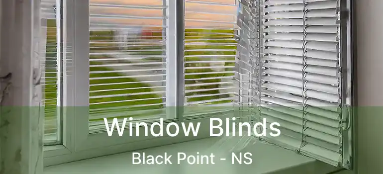  Window Blinds Black Point - NS