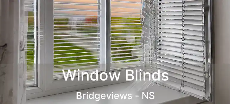  Window Blinds Bridgeviews - NS