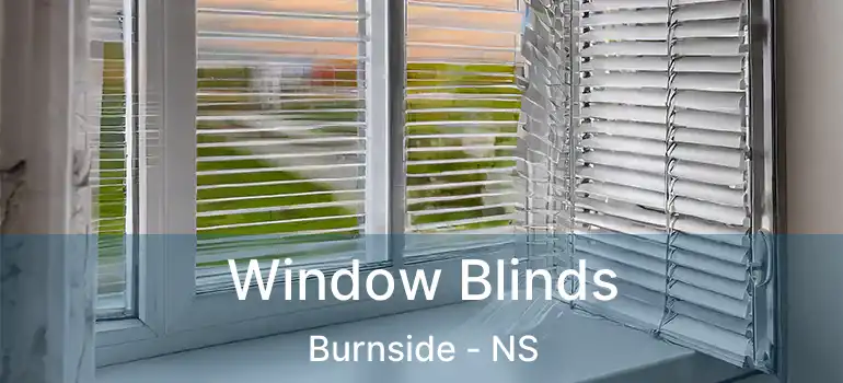  Window Blinds Burnside - NS