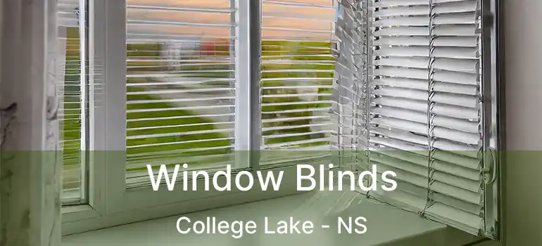  Window Blinds College Lake - NS