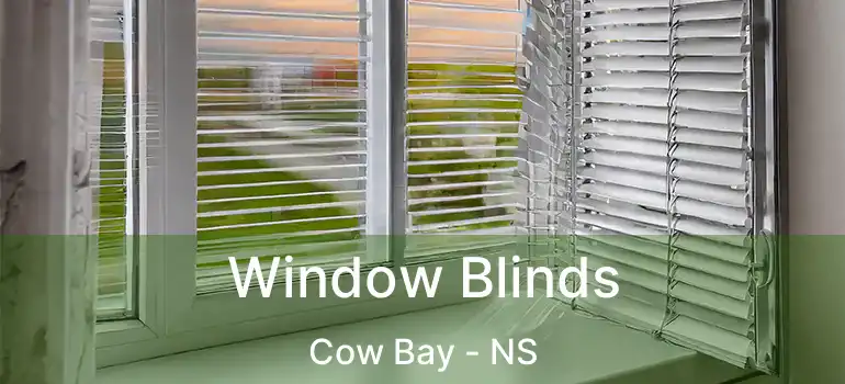  Window Blinds Cow Bay - NS