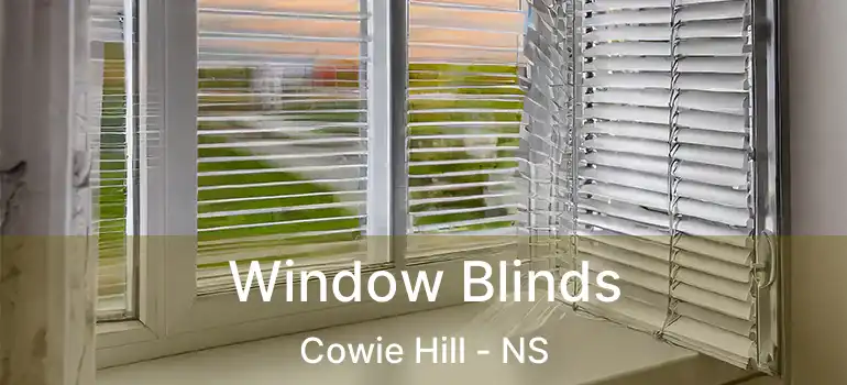  Window Blinds Cowie Hill - NS