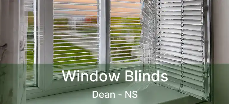  Window Blinds Dean - NS