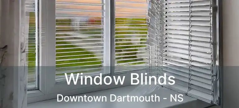  Window Blinds Downtown Dartmouth - NS