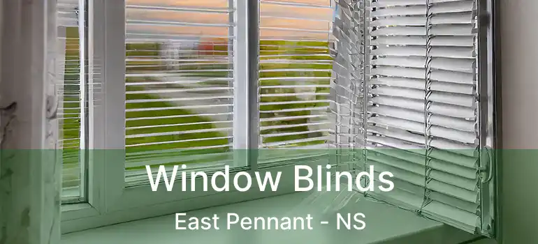  Window Blinds East Pennant - NS