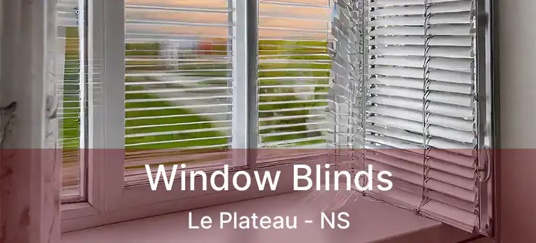  Window Blinds Le Plateau - NS