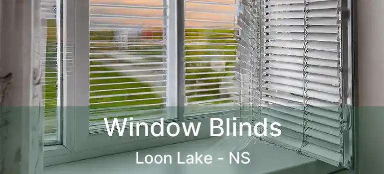  Window Blinds Loon Lake - NS