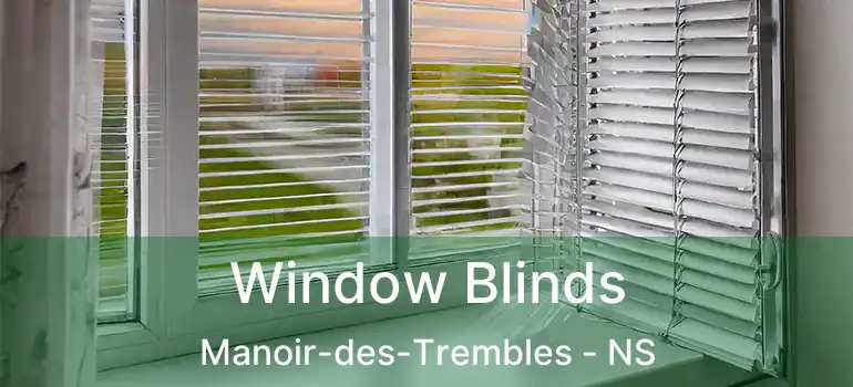  Window Blinds Manoir-des-Trembles - NS