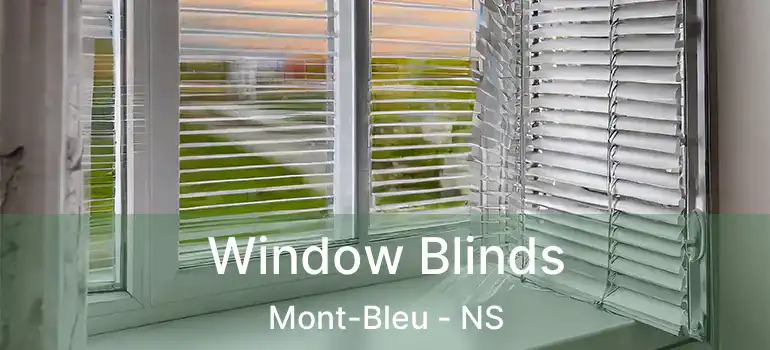  Window Blinds Mont-Bleu - NS