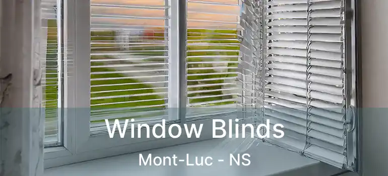  Window Blinds Mont-Luc - NS