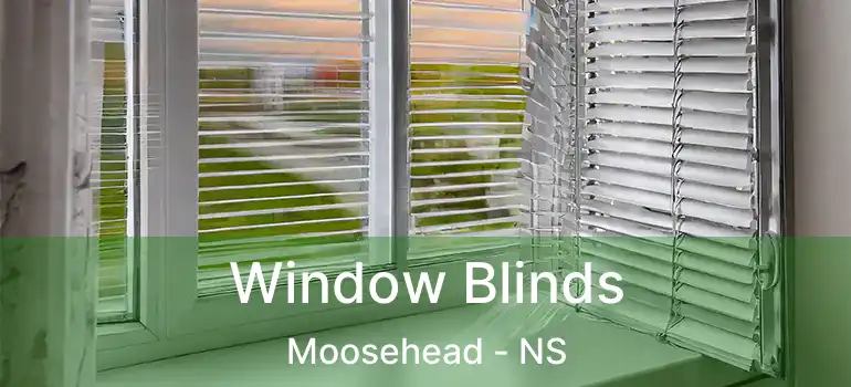  Window Blinds Moosehead - NS