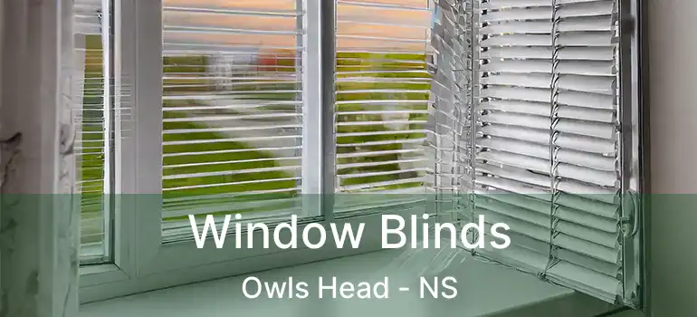  Window Blinds Owls Head - NS