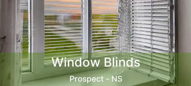  Window Blinds Prospect - NS