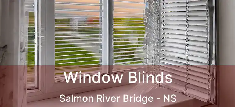  Window Blinds Salmon River Bridge - NS