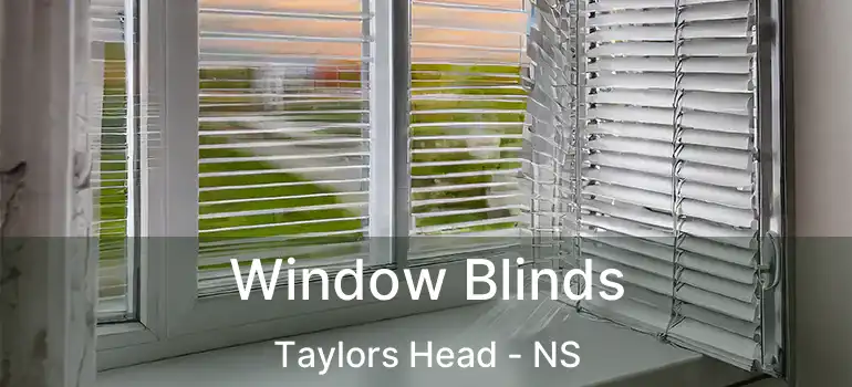  Window Blinds Taylors Head - NS