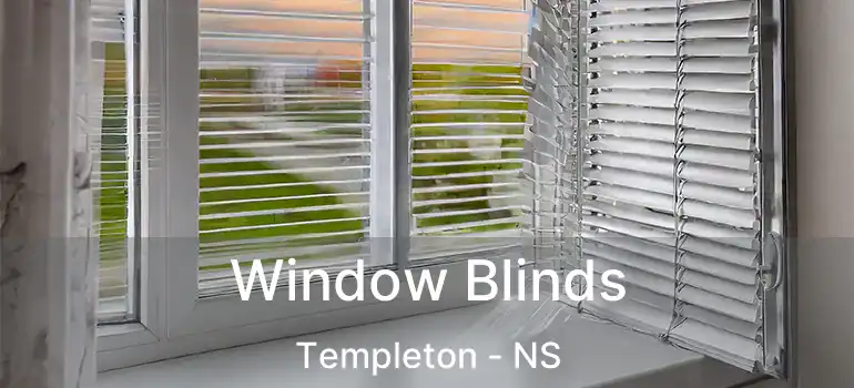  Window Blinds Templeton - NS