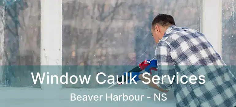  Window Caulk Services Beaver Harbour - NS