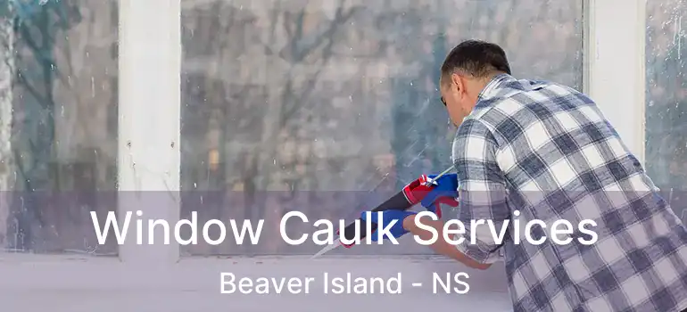  Window Caulk Services Beaver Island - NS