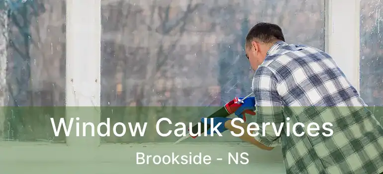  Window Caulk Services Brookside - NS