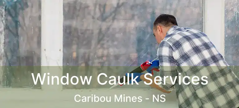  Window Caulk Services Caribou Mines - NS