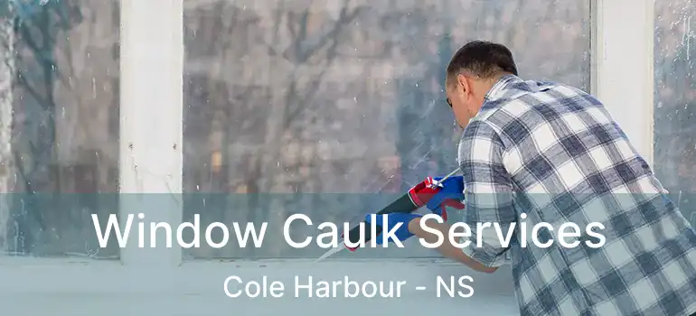  Window Caulk Services Cole Harbour - NS