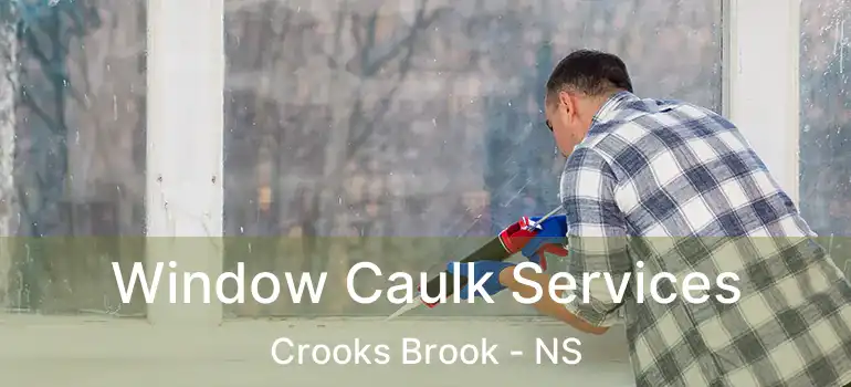  Window Caulk Services Crooks Brook - NS