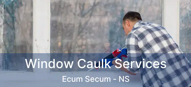  Window Caulk Services Ecum Secum - NS