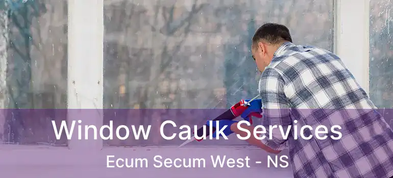  Window Caulk Services Ecum Secum West - NS