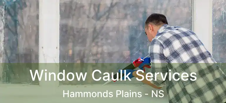  Window Caulk Services Hammonds Plains - NS