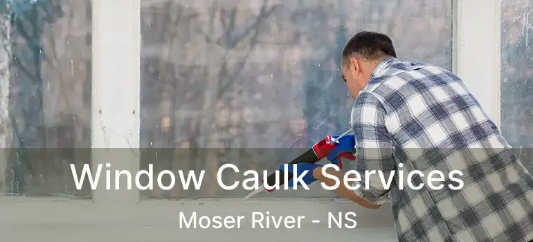  Window Caulk Services Moser River - NS