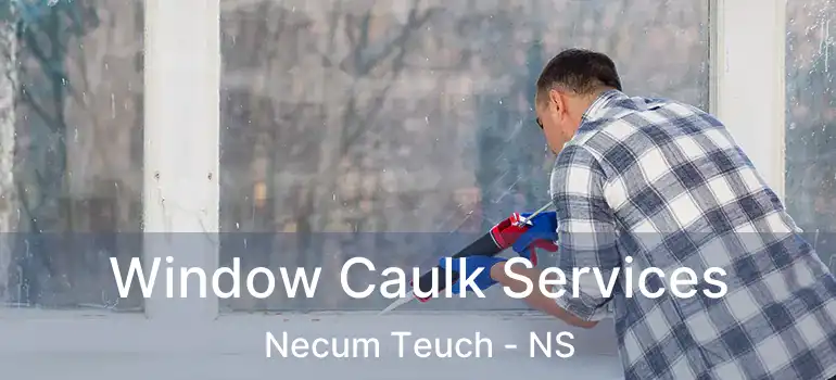  Window Caulk Services Necum Teuch - NS