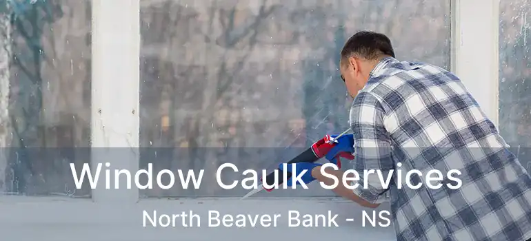  Window Caulk Services North Beaver Bank - NS