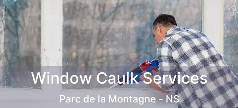  Window Caulk Services Parc de la Montagne - NS