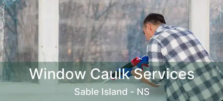  Window Caulk Services Sable Island - NS