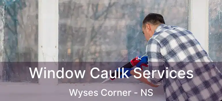  Window Caulk Services Wyses Corner - NS